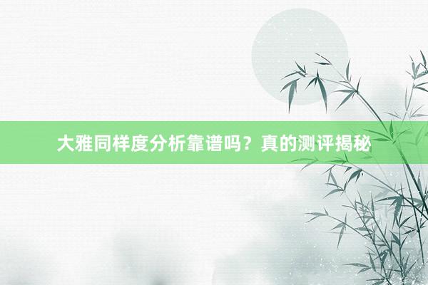 大雅同样度分析靠谱吗？真的测评揭秘